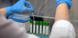 Allerta polio in Germania, virus selvaggio trovato in acque reflue ad Amburgo