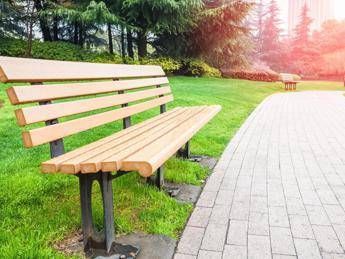 Più alberi in città, tutti i benefici del verde nei centri urbani