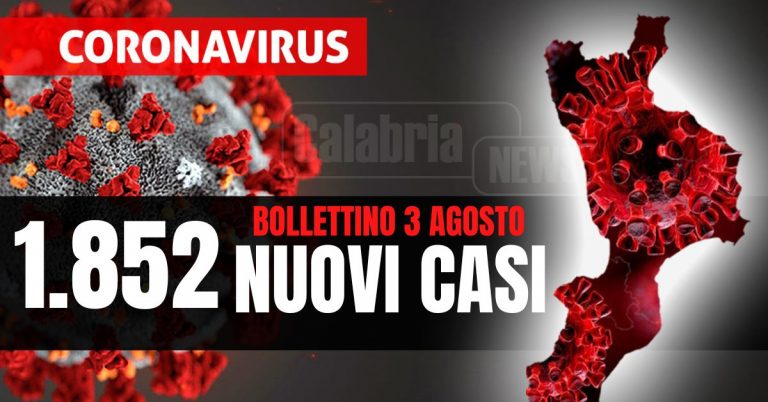 Covid Calabria: Sei morti (5 nel Cosentino), calano ricoveri (-6) e intensive (-2). Positivo un tampone su quattro