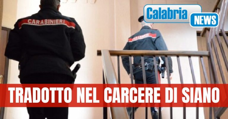 Catanzaro, maltrattamenti contro familiari e conviventi: 73enne arrestato dai carabinieri