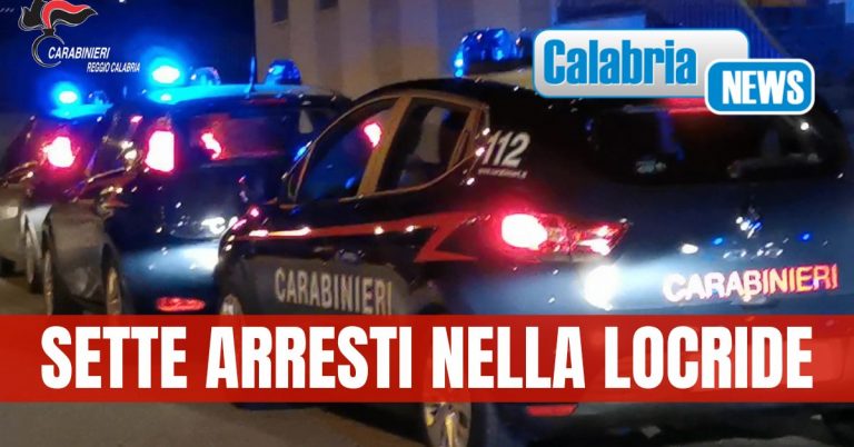 Pizzicati i componenti di una banda che compiva furti in supermercati di Calabria e Sicilia
