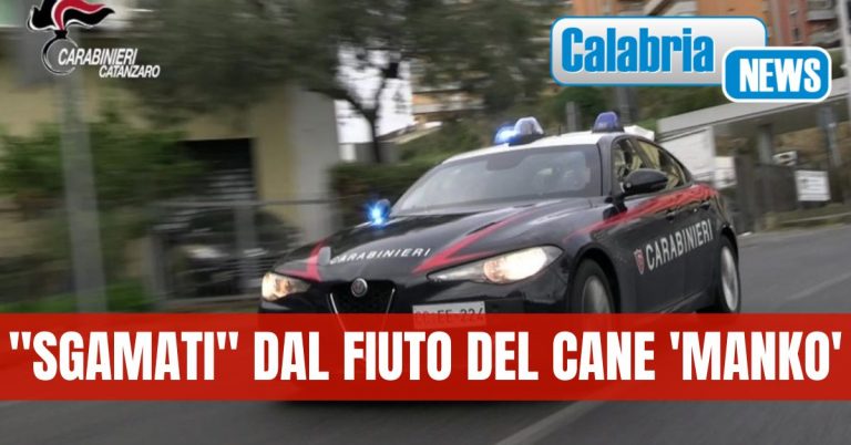 Carabinieri arrestano due persone nel Catanzarese per detenzione e spaccio di sostanze stupefacenti