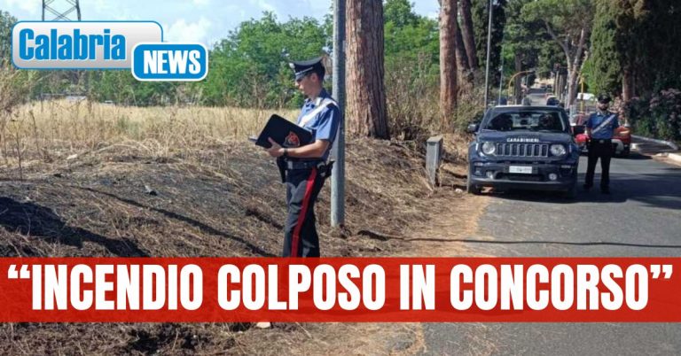 Bruciano sterpaglie nel loro campo e innescano incendio che sfiora abitazioni: Due persone deferite nel Crotonese