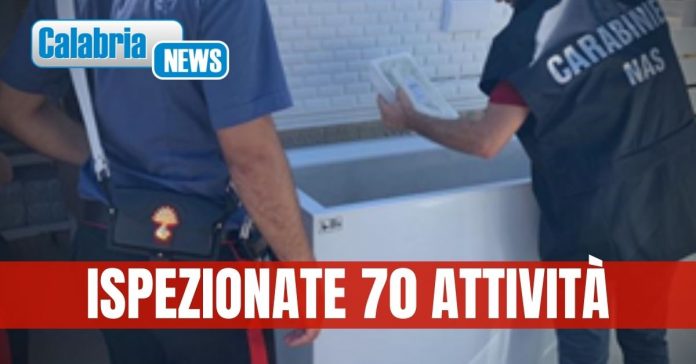 Controlli dei Nas Catanzaro e Vibo Valentia