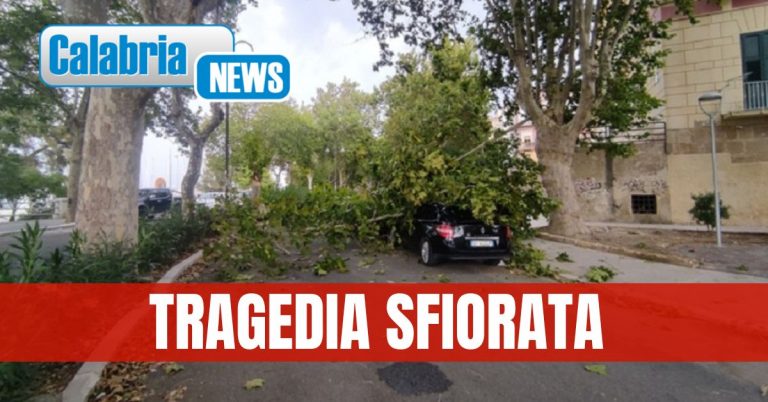 Crotone, albero spezzato in due dal vento cade su auto: illeso il conducente che si sdraia su sedile passeggero