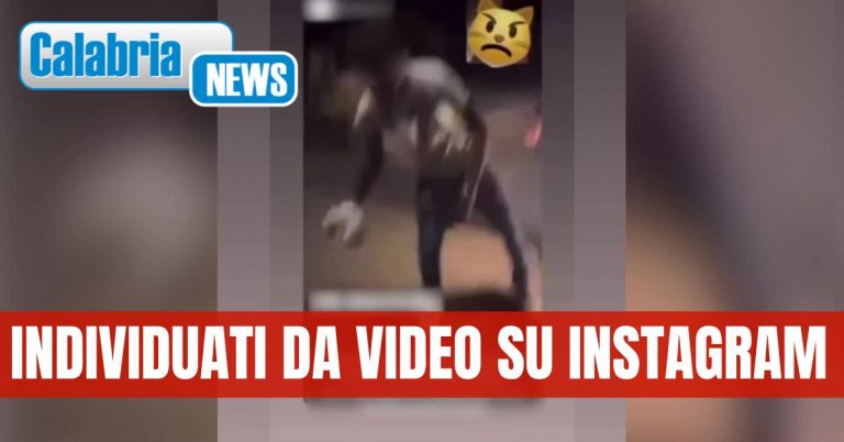 Denunciati i tre giovani studenti (due minorenni) che hanno seviziato un gattino a Polistena