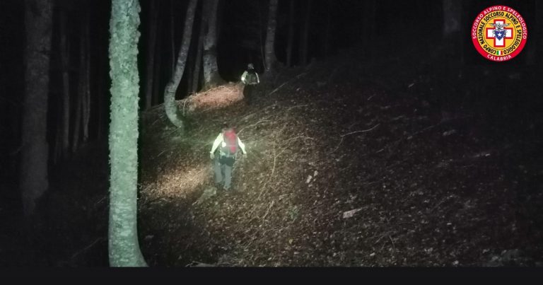 Cerca funghi e si perde nel Cosentino: ansia per un 74enne