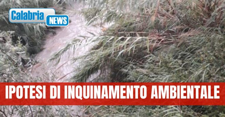 Catanzaro: denunciati in 14 per scarichi abusivi nel fiume Castace