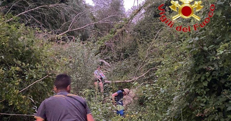 Dispersi nel Vibonese: escursione a lieto fine per due turisti