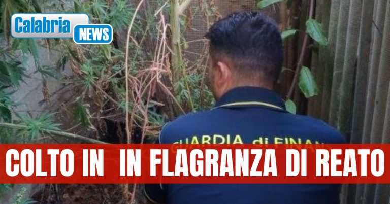 Arresto gdf Tropea