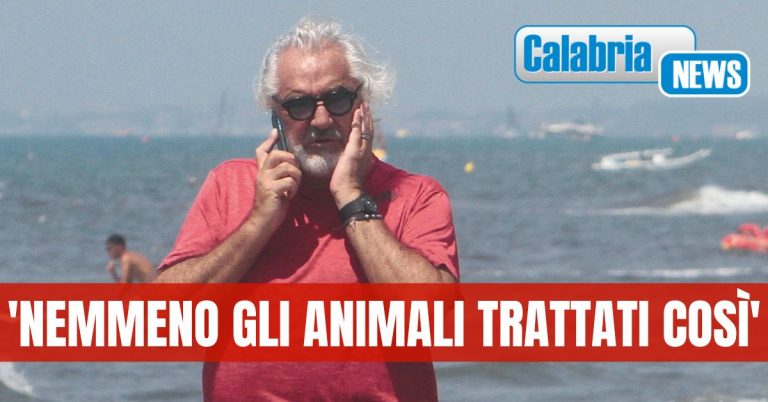 Flavio Briatore soccorre con il suo yacht un centinaio di migranti nel mare della Calabria