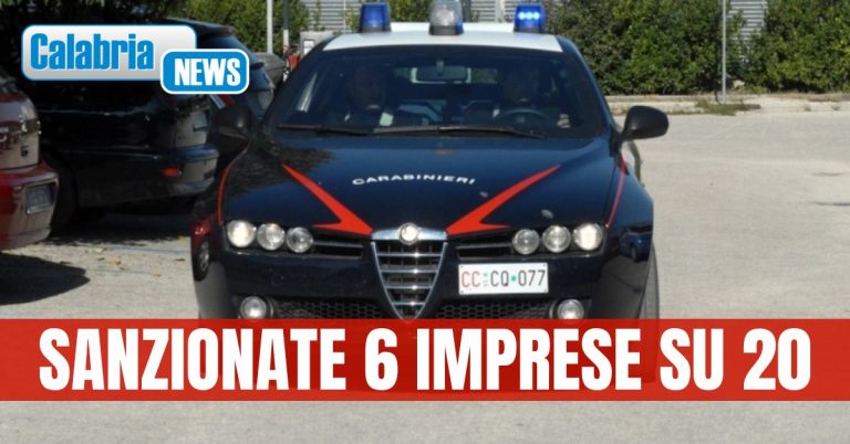 Attività irregolari e furbetti del reddito di cittadinanza: sanzioni per circa 110mila Euro
