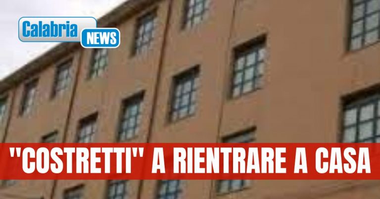 Lezioni sospese all’Istituto Pascoli-Aldisio a causa di un cinghiale