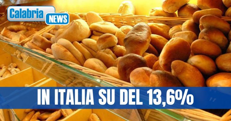 Pane sempre più caro in Europa: prezzo è salito del 18% in un anno