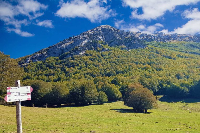 Turismo esperienzale e bellezze naturalistiche: dal 7 al 10 ottobre la kermesse “Pollino 2022”