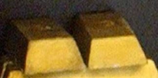 Butta 20 lingotti d’oro del valore di 120 mila euro nel cassonetto dei rifiuti: il lieto fine