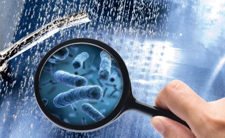 Catanzaro, registrato caso di legionella a Mater Domini. Amministrazione comunale: Attenzione resta alta