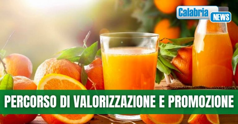 L’arancia Belladonna di Reggio Calabria diventa presidio Slow Food: è uno degli agrumi più apprezzati del territorio