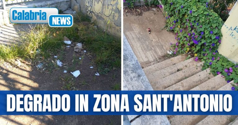 Lamezia, Piccioni: nell’area attorno al Santuario “non si può venire a pulire solo a giugno”