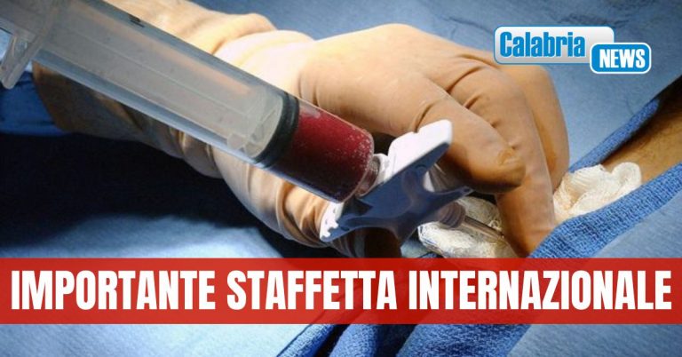 L’umanità sconfigge la guerra: Calabrese malato di leucemia salvato con trapianto da donatore che vive in Russia