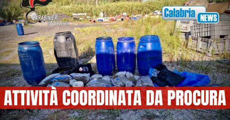 VIDEO-Scoperti dai carabinieri un arsenale con kalashnikov e una piantagione droga nel Vibonese