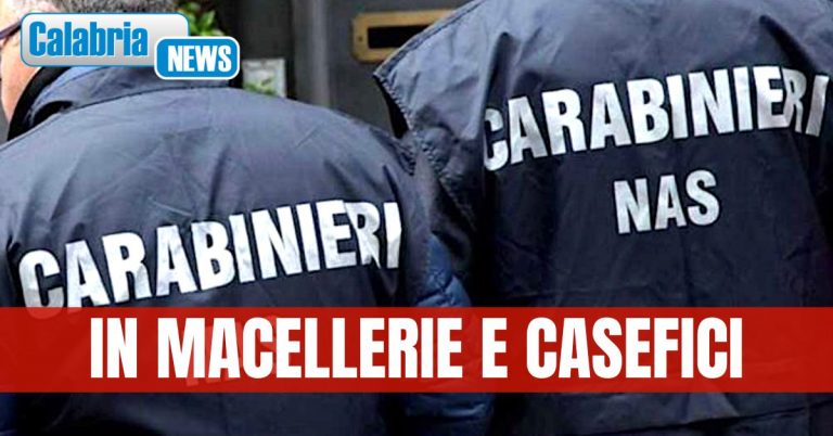 Sequestri a tappeto dei Nas nel Reggino