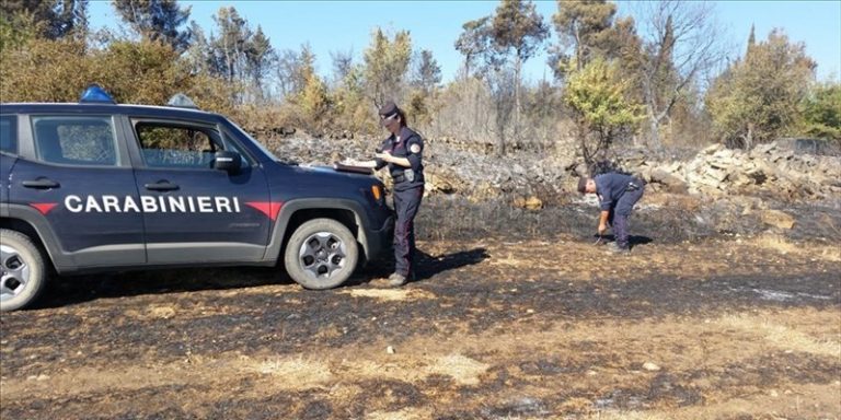 VIDEO-Incendi Calabria 2022, bilancio attività carabinieri: diminuiti roghi ma più persone denunciate
