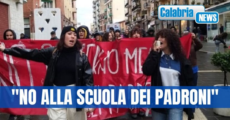 Studenti in piazza anche a Cosenza: opposizione alla misura dell’alternanza scuola-lavoro e il caro-istruzione