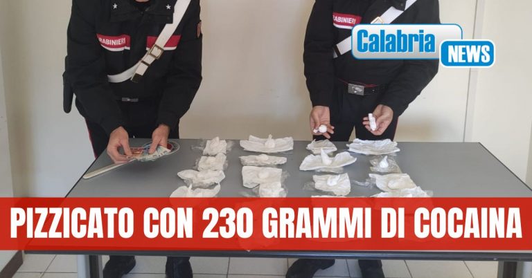 Spacciatore 36enne arrestato in flagranza dai carabinieri nel Catanzarese