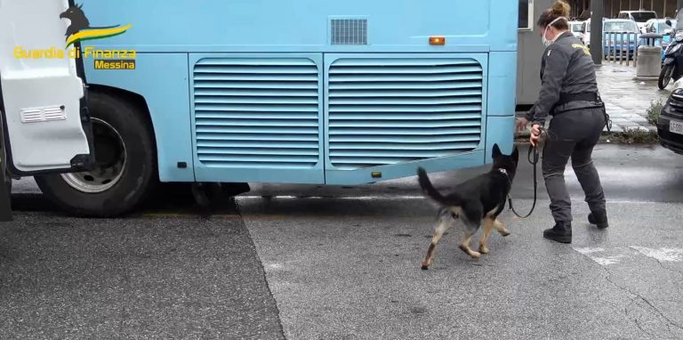 VIDEO-Oltre 10 Kg di droga in viaggio dalla Calabria a Messina: non è sfuggita al fiuto del cane antidroga Ghimly