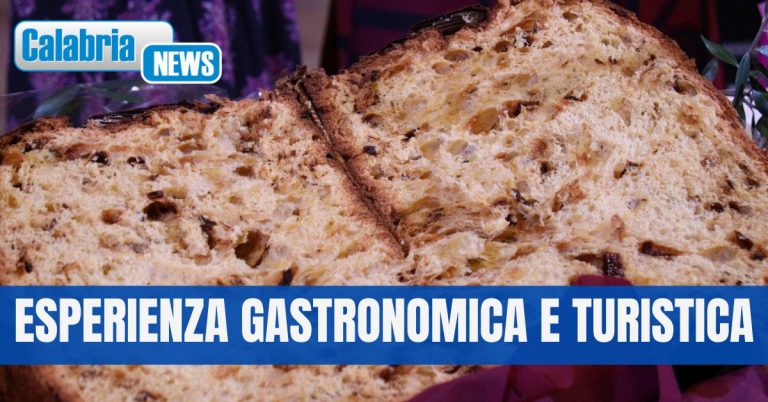Nasce il panettone alla Cipolla Rossa di Tropea Calabria Igp senza burro e con olio extravergine biologico