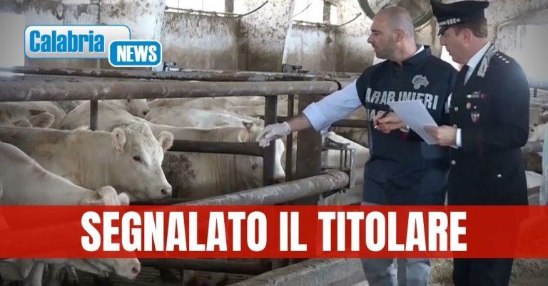 Sequestro allevamento catanzaro
