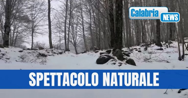 Il maltempo porta la prima neve in Calabria