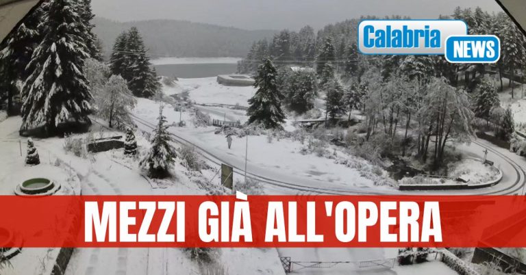 Neve in Sila: disagi alla circolazione contenuti