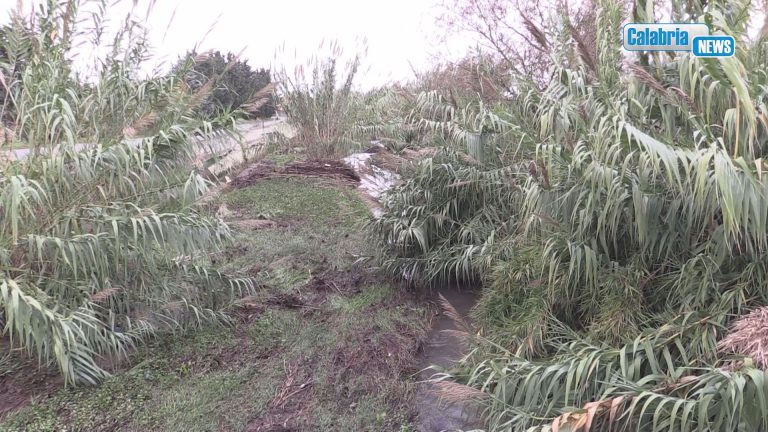 Lamezia Terme: torrente Cottola in contrada Frassà, necessita di manutenzione