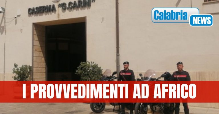 Operazione antidroga tra Palermo e la Calabria: 15 arresti