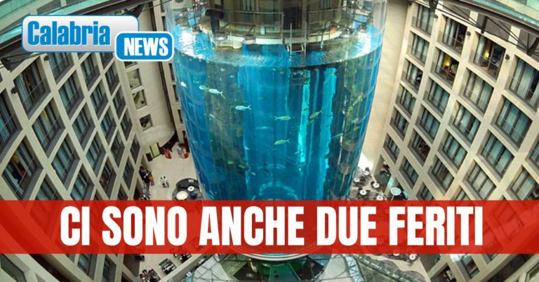 Esplode il più grande acquario cilindrico del mondo: all’interno 1500 pesci