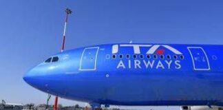 Cani in aereo, in cabina anche gli animali domestici di grossa taglia: il servizio Ita, come funziona