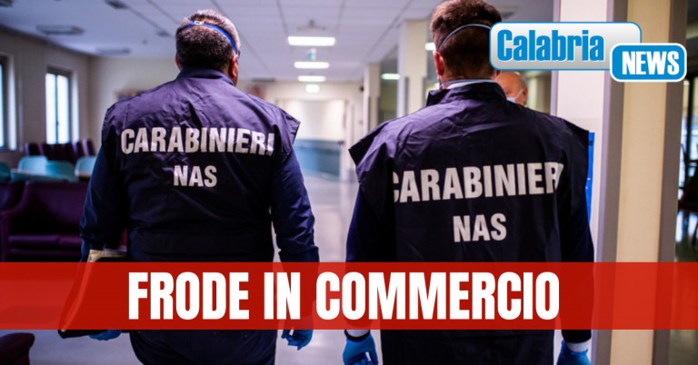 Controlli NAS Catanzaro: sequestrati 100 panettoni “falsi artigianali” in laboratorio dolciario lametino