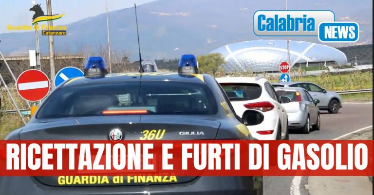 VIDEO-Lamezia, associazione per delinquere finalizzata ai furti ed alla ricettazione: 8 misure cautelari