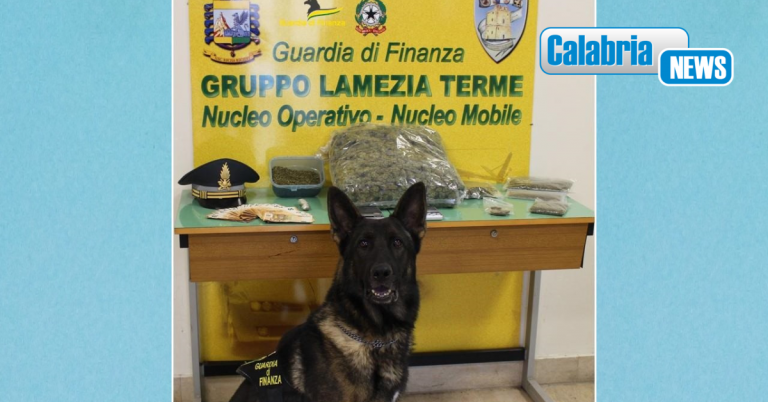 Lamezia, arrestato 38enne presunto spacciatore e sequestrato 1,5 Kg circa di marijuana