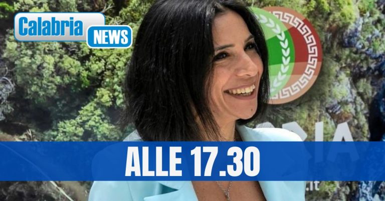 L’albero di Natale dei calabresi, oggi la cerimonia di accensione in Cittadella. I dettagli del progetto