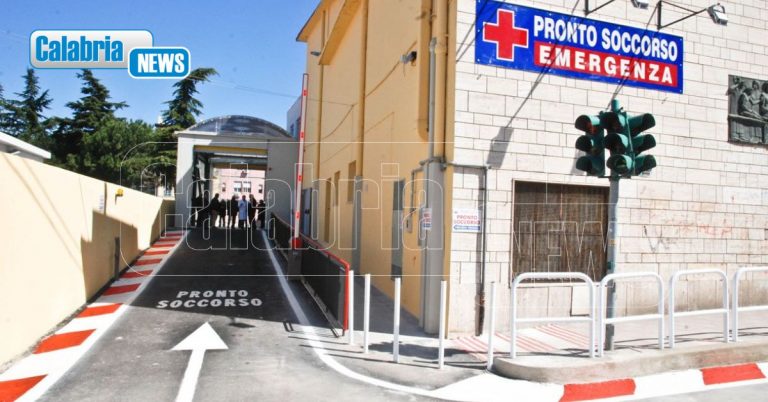 Aggressione a due medici dell’ospedale di Vibo, sindaco Limardo: “Massima solidarietà, violenza non ha giustificazione”