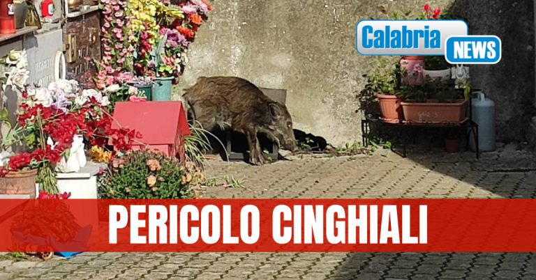 San Pietro a Maida, sindaco dispone la chiusura del cimitero per ragioni di sicurezza