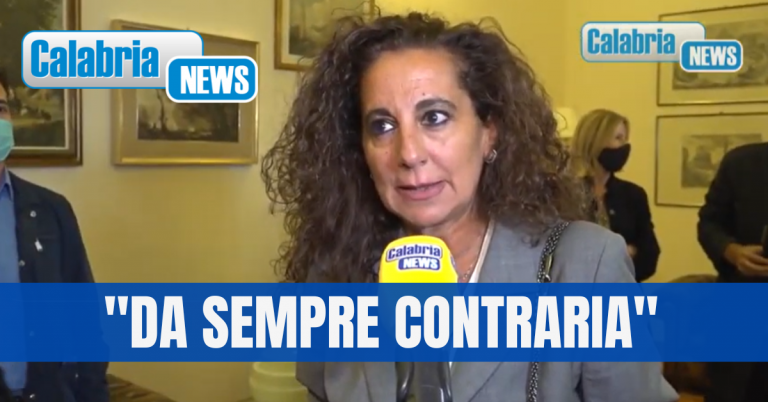 Medicina all’Unical, Wanda Ferro: Inutile duplicazione che rischia di frammentare le risorse