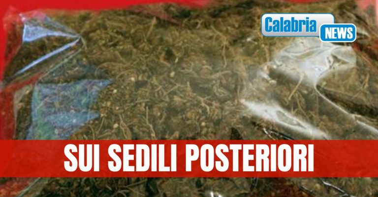 Arrestate 3 persone a Vibo: due etti di marijuana in auto