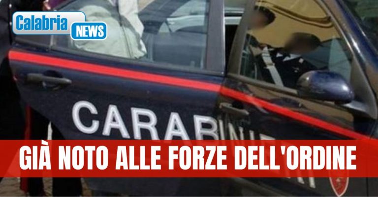Arrestato 25enne nel Reggino: coltivava canapa indiana in casa con allaccio alla rete elettrica abusivo