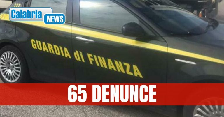 GdF Cosenza: illeciti contro il reddito di cittadinanza