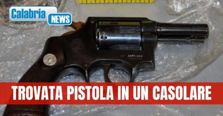 Intensificati i controlli dei Carabinieri nel Reggino: numerose irregolarità riscontrate