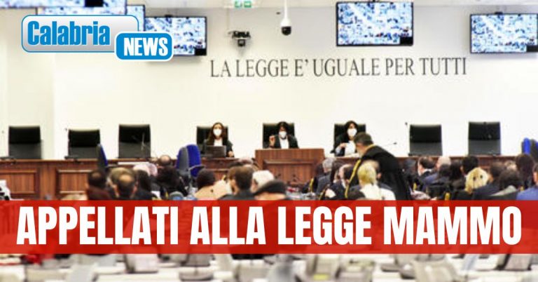 ‘Ndrangheta: ha un figlio malato, ottiene arresti domiciliari